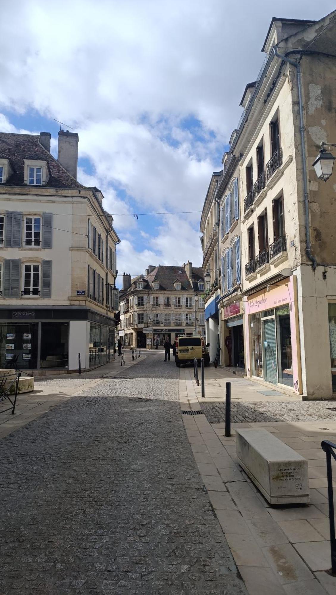 Terre De Bourgogne - Appartement Au Centre Ville D'阿瓦隆 外观 照片